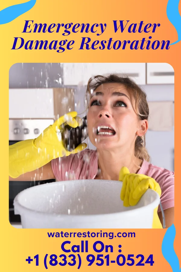 Emergency Water Damage Restoration in Greentree, NJ