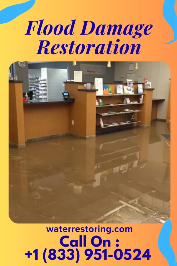 Flood Damage Restoration in Greentree, NJ