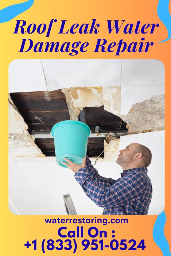 Roof Leak Water Damage Repair in Greentree, NJ