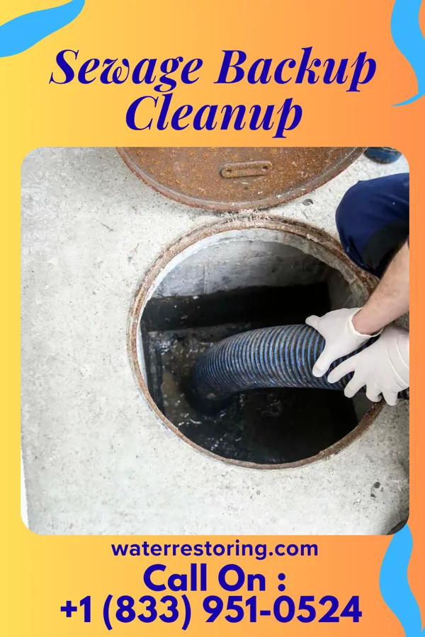 Sewage Backup Cleanup in Greentree, NJ