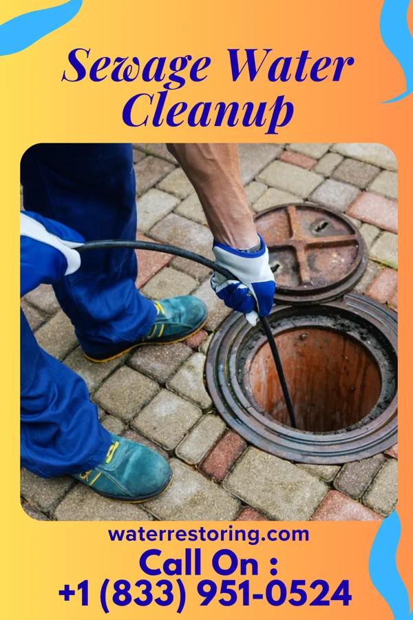 Sewage Water Cleanup in Greentree, NJ